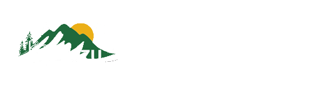 Letszu logo